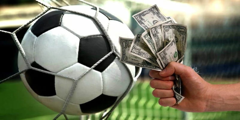 Cá độ bóng đá Các loại kèo phổ biến trong cá độ bóng đá