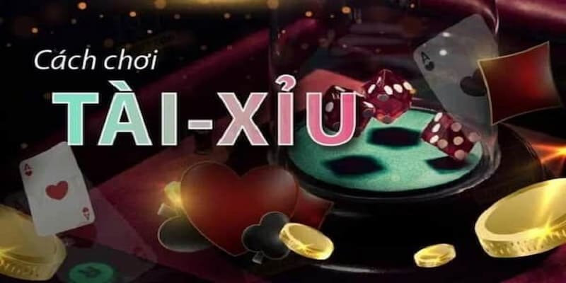 mẹo chơi tài xỉu online Các mẹo chơi tài xỉu online phổ biến và hiệu quả
