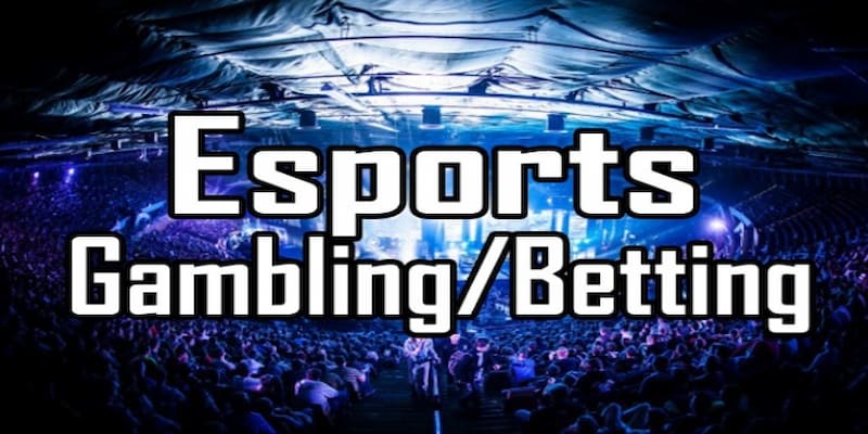 Cá cược esports Việt Nam Kinh nghiệm chơi cá cược esports Việt Nam hiệu quả