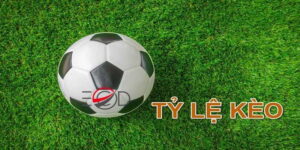 Tổng quan về tỷ lệ kèo trong hệ thống xóc đĩa online
