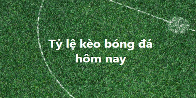 tỷ lệ kèo Vai trò của tỷ lệ kèo trong việc đưa ra quyết định đặt cược